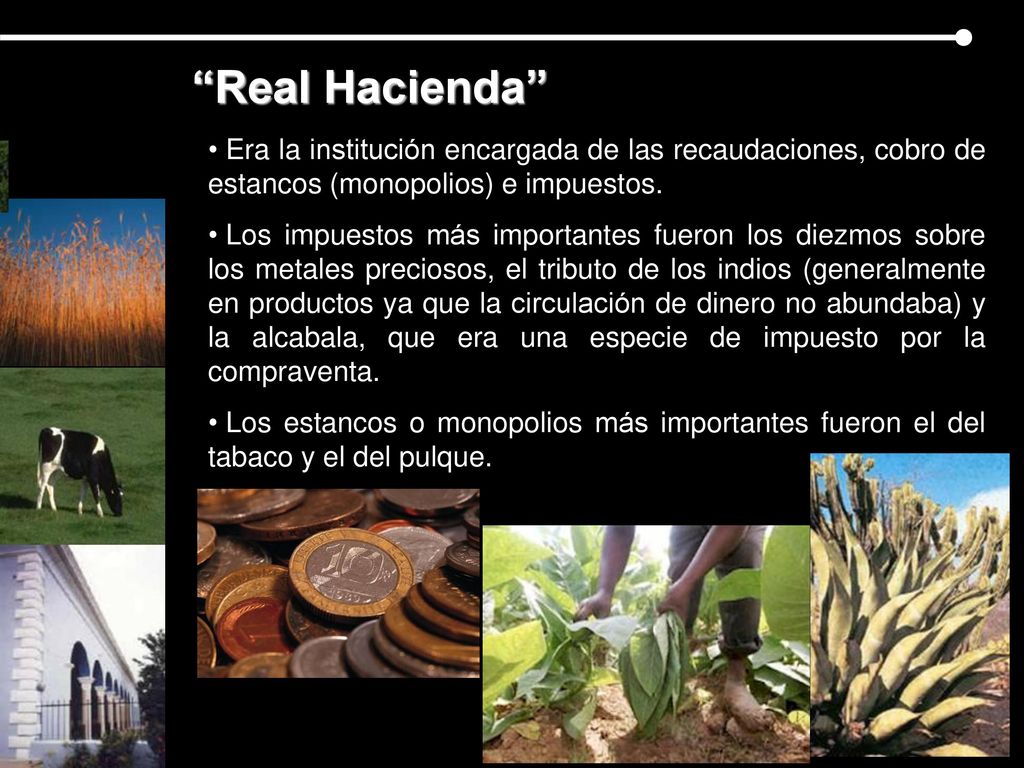 Real Hacienda Era la institución encargada de las recaudaciones, cobro de estancos (monopolios) e impuestos.
