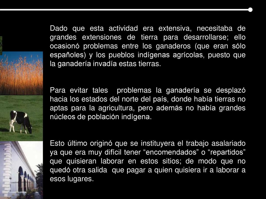 Dado que esta actividad era extensiva, necesitaba de grandes extensiones de tierra para desarrollarse; ello ocasionó problemas entre los ganaderos (que eran sólo españoles) y los pueblos indígenas agrícolas, puesto que la ganadería invadía estas tierras.