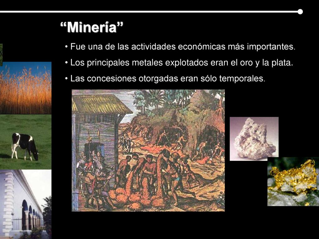 Minería Fue una de las actividades económicas más importantes.
