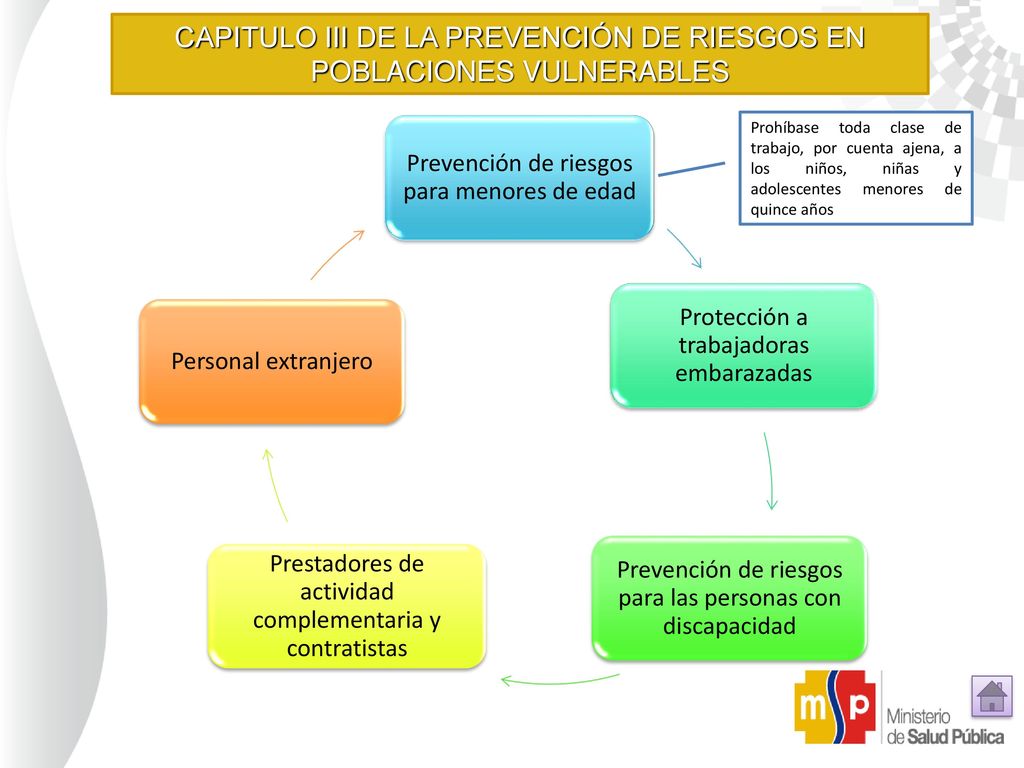 CAPITULO III DE LA PREVENCIÓN DE RIESGOS EN POBLACIONES VULNERABLES