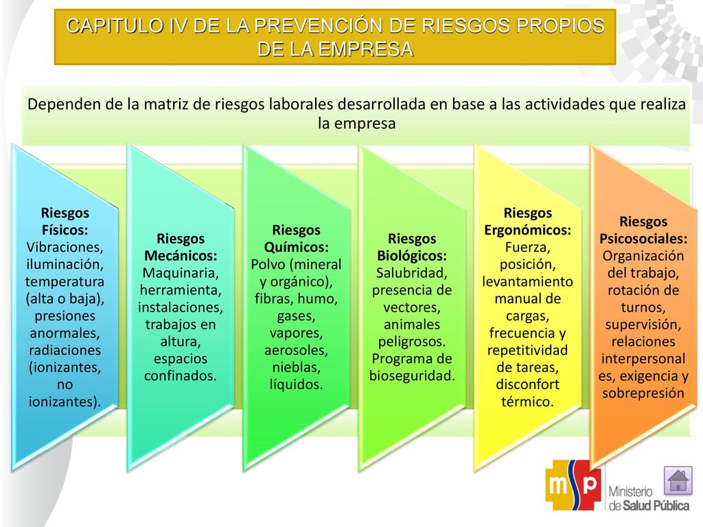 CAPITULO IV DE LA PREVENCIÓN DE RIESGOS PROPIOS DE LA EMPRESA
