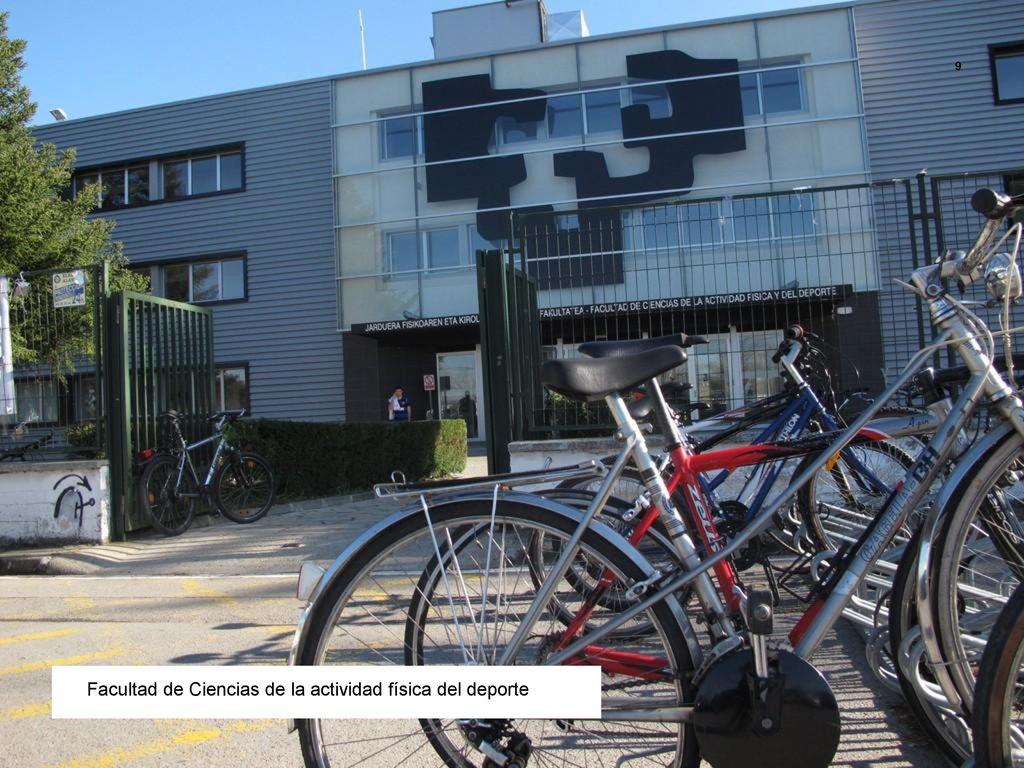 Facultad de Ciencias de la actividad física del deporte