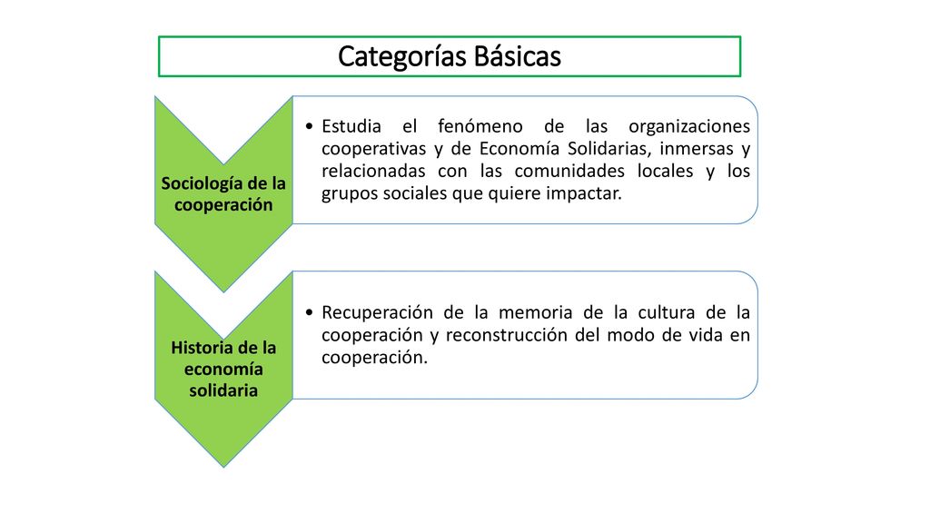 Sociología de la cooperación Historia de la economía solidaria