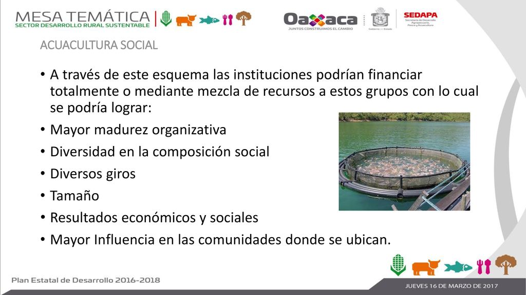 Mayor madurez organizativa Diversidad en la composición social