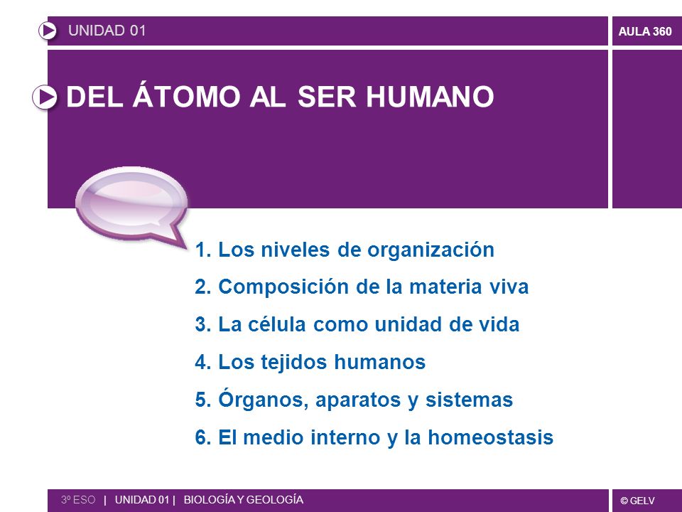 DEL ÁTOMO AL SER HUMANO 1. Los niveles de organización