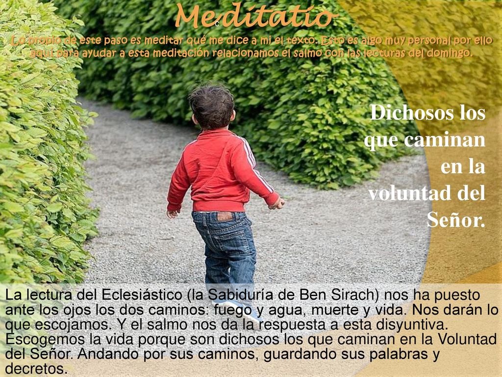 Dichosos los que caminan en la voluntad del Señor.
