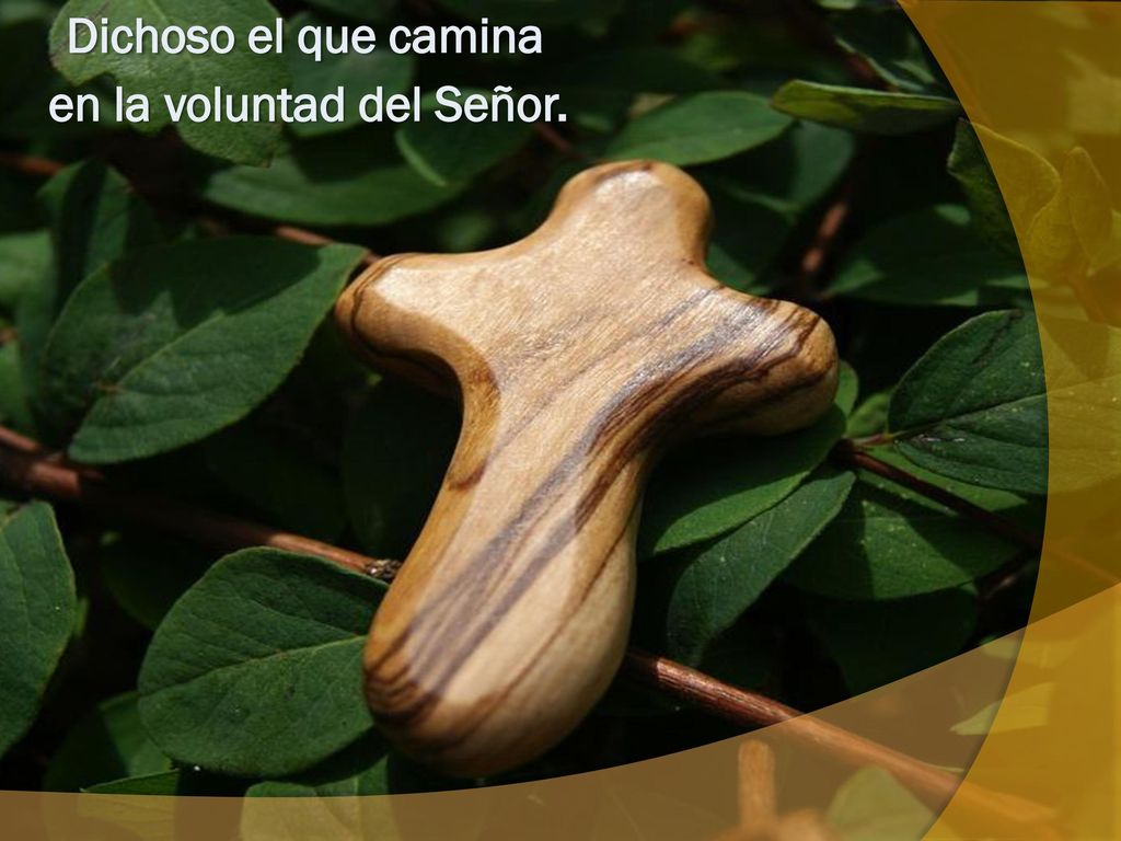 Dichoso el que camina en la voluntad del Señor.