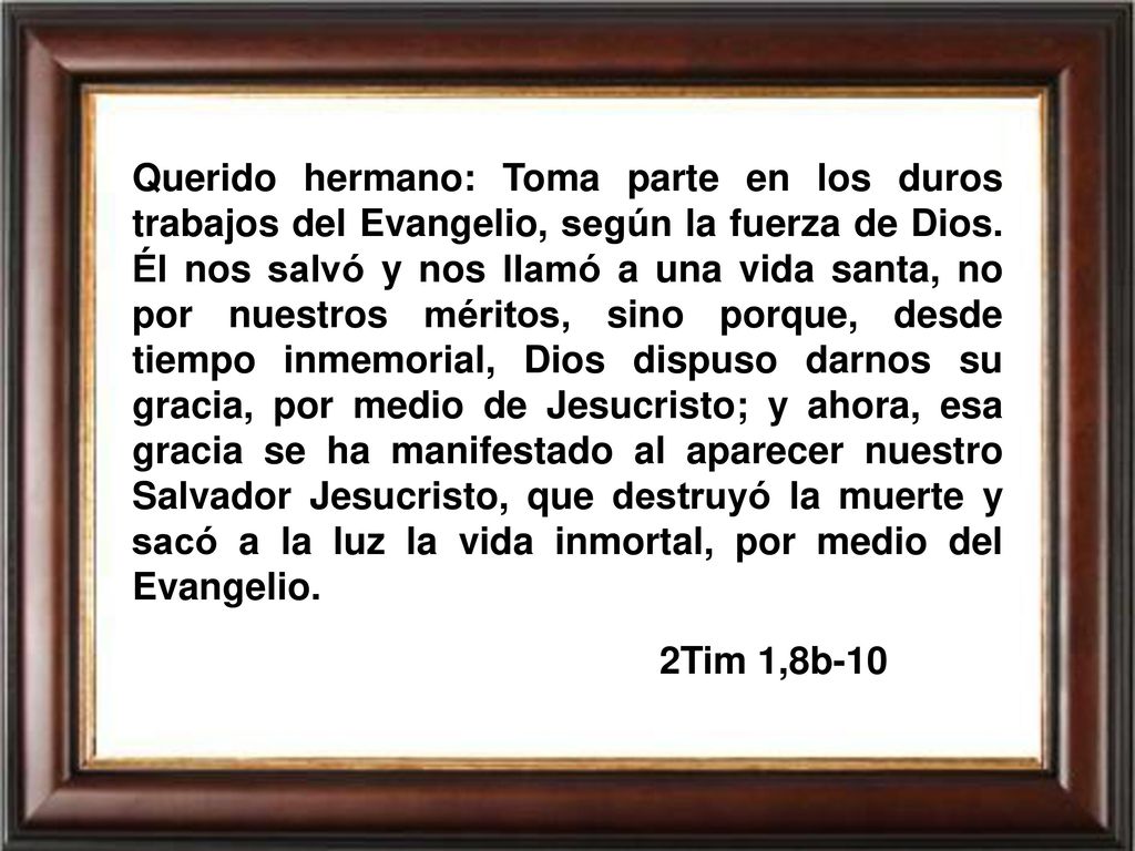 Querido hermano: Toma parte en los duros trabajos del Evangelio, según la fuerza de Dios. Él nos salvó y nos llamó a una vida santa, no por nuestros méritos, sino porque, desde tiempo inmemorial, Dios dispuso darnos su gracia, por medio de Jesucristo; y ahora, esa gracia se ha manifestado al aparecer nuestro Salvador Jesucristo, que destruyó la muerte y sacó a la luz la vida inmortal, por medio del Evangelio.
