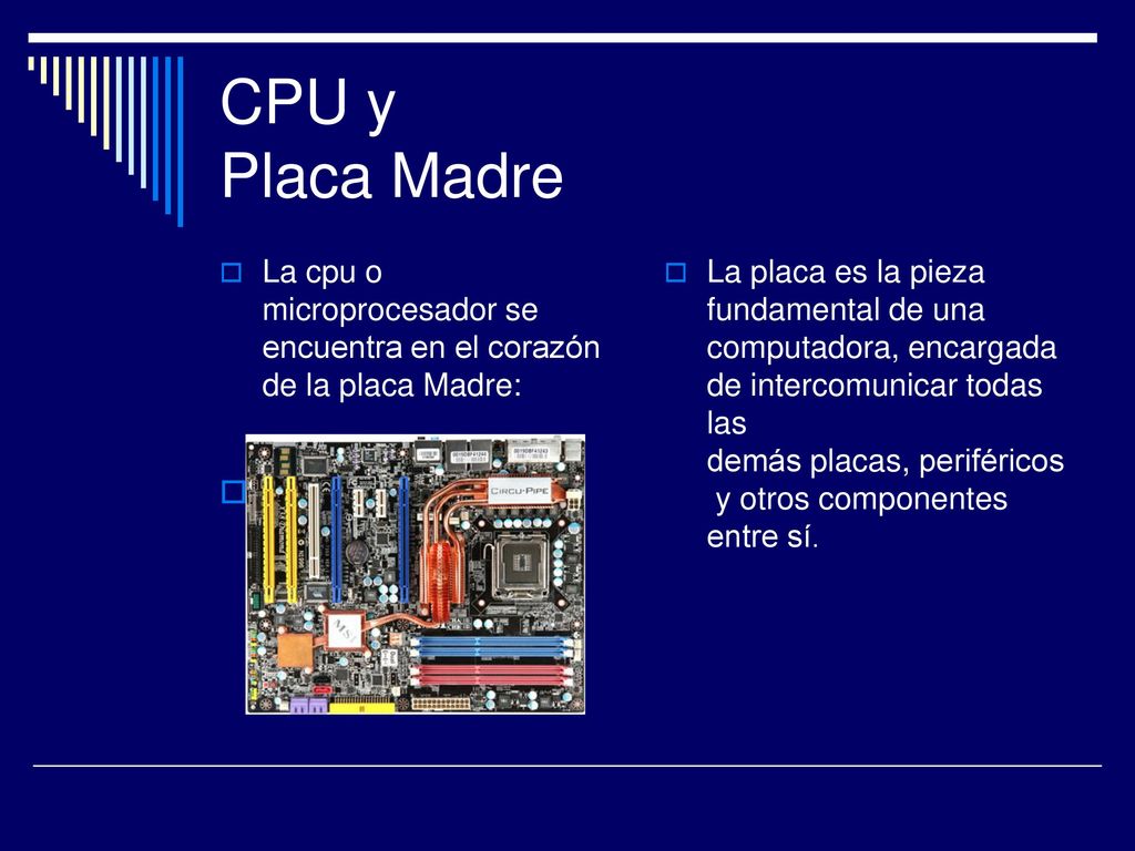 CPU y Placa Madre La cpu o microprocesador se encuentra en el corazón de la placa Madre: .