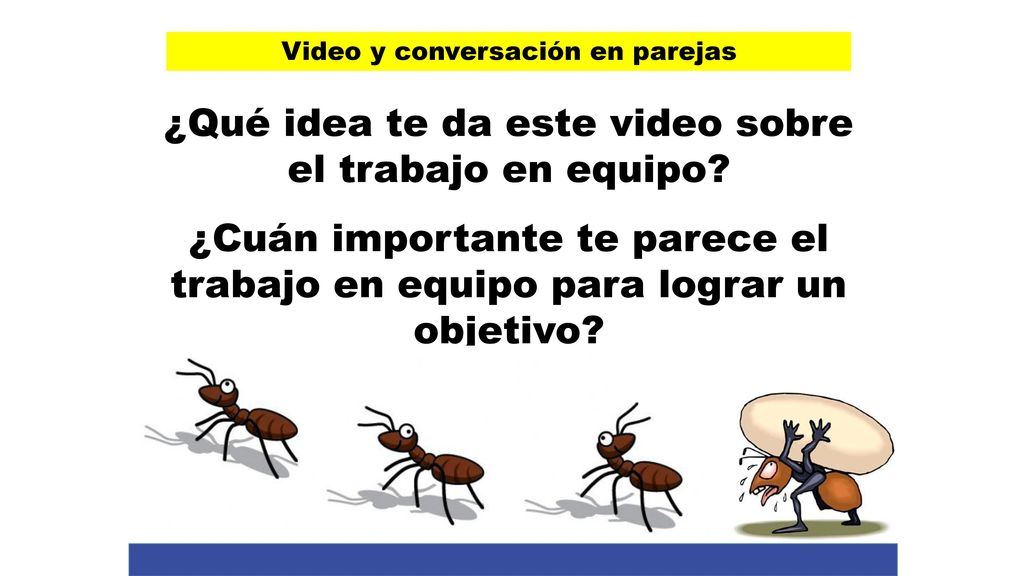 ¿Qué idea te da este video sobre el trabajo en equipo
