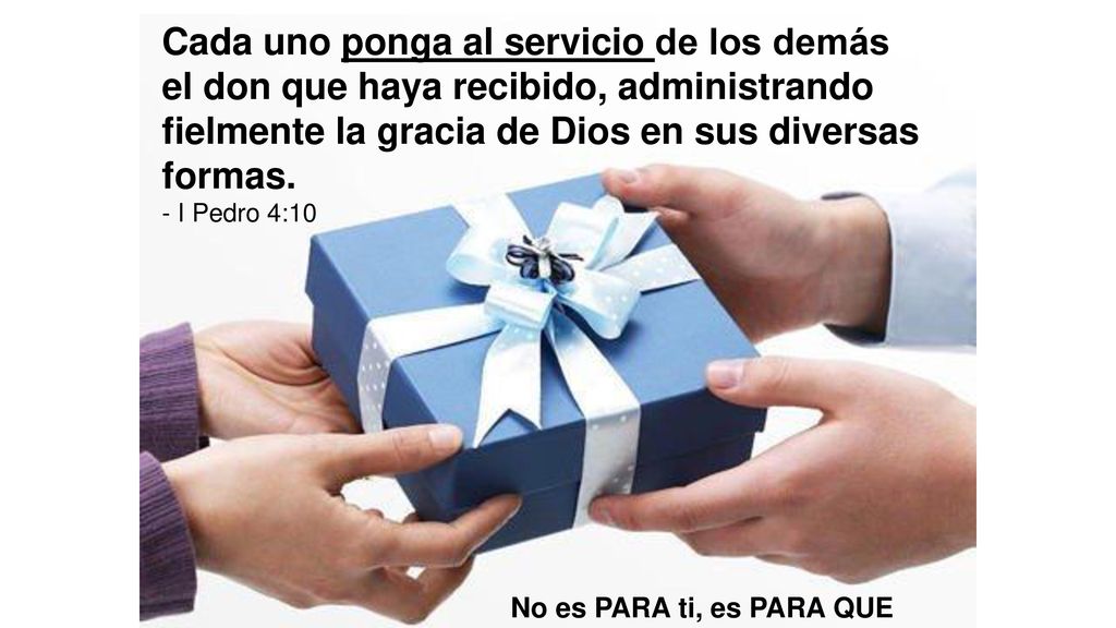 Cada uno ponga al servicio de los demás el don que haya recibido, administrando fielmente la gracia de Dios en sus diversas formas.