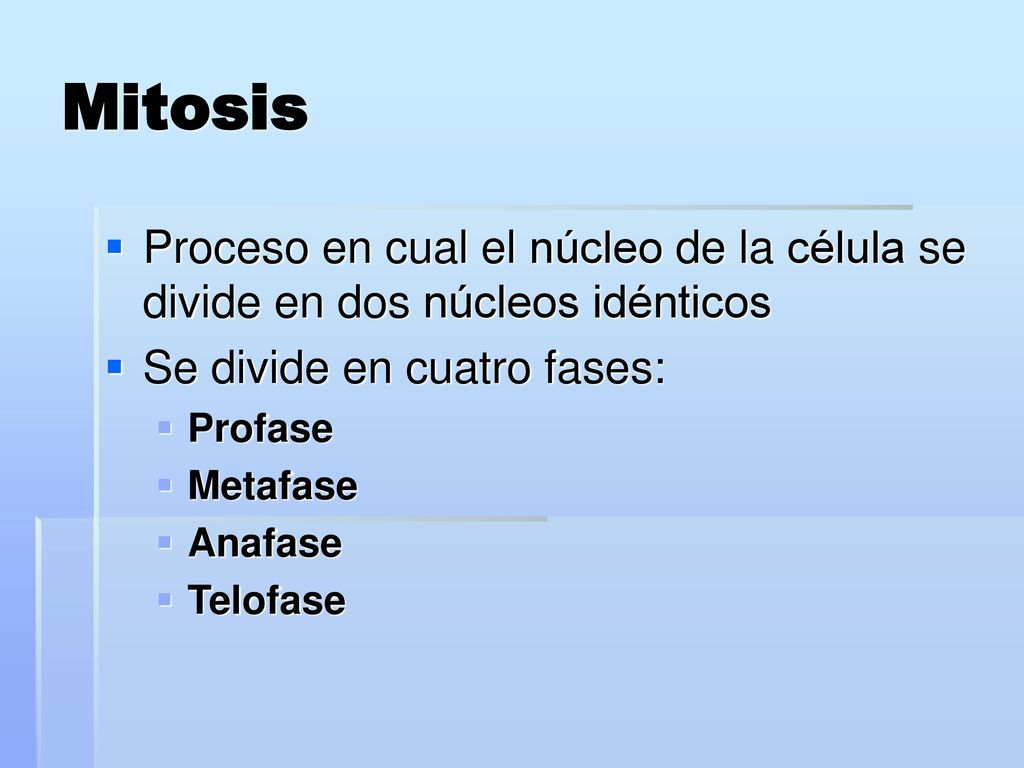 Mitosis Proceso en cual el núcleo de la célula se divide en dos núcleos idénticos. Se divide en cuatro fases: