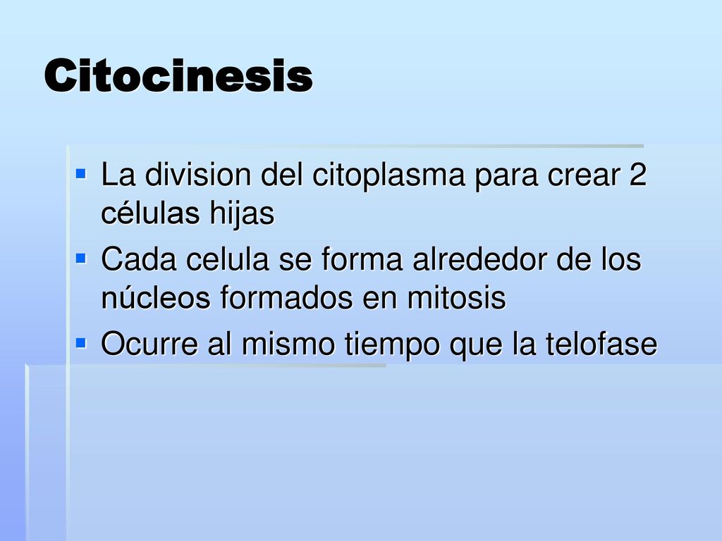 Citocinesis La division del citoplasma para crear 2 células hijas