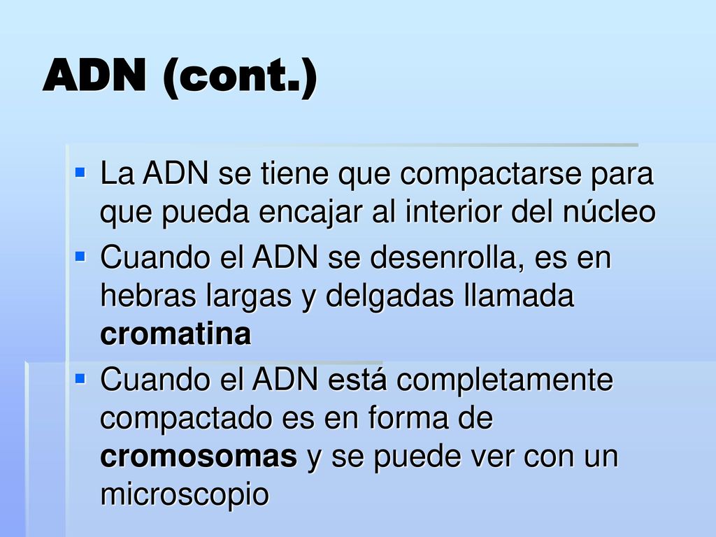 ADN (cont.) La ADN se tiene que compactarse para que pueda encajar al interior del núcleo.