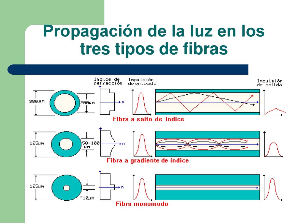 Propagación de la luz en los tres tipos de fibras