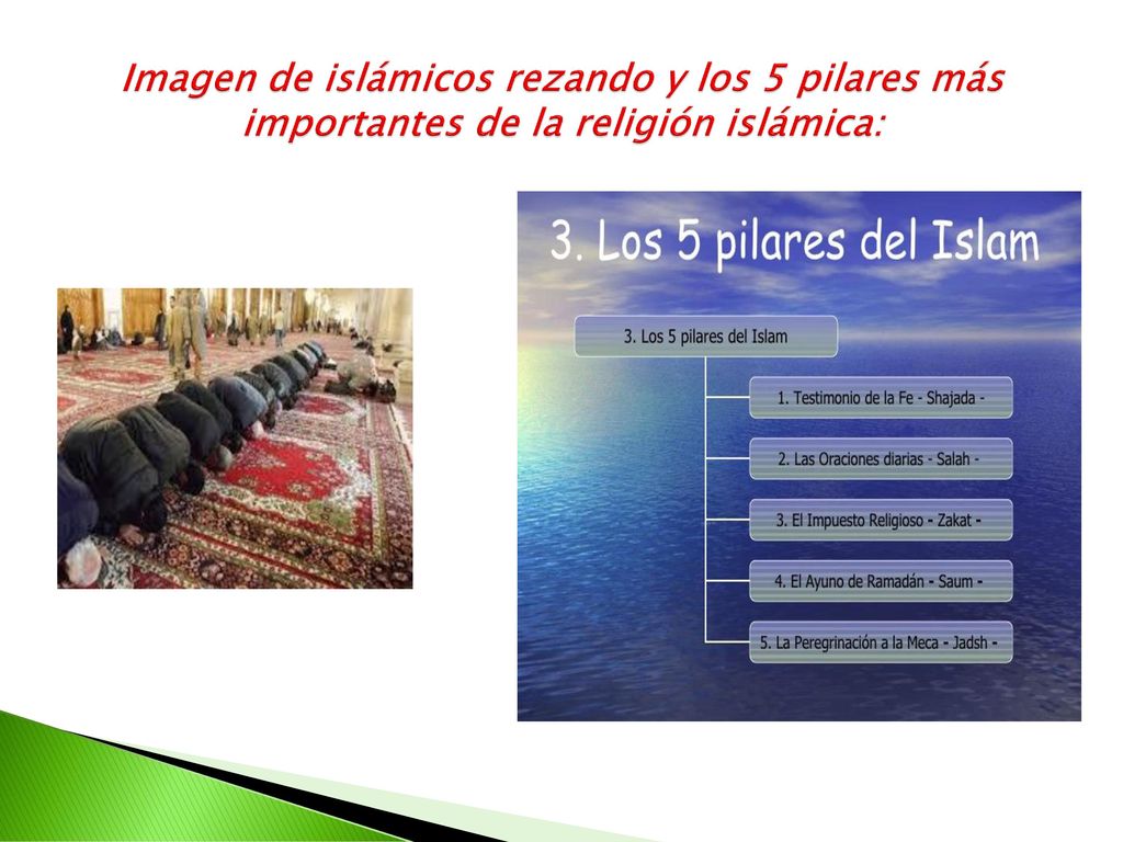 Imagen de islámicos rezando y los 5 pilares más importantes de la religión islámica: