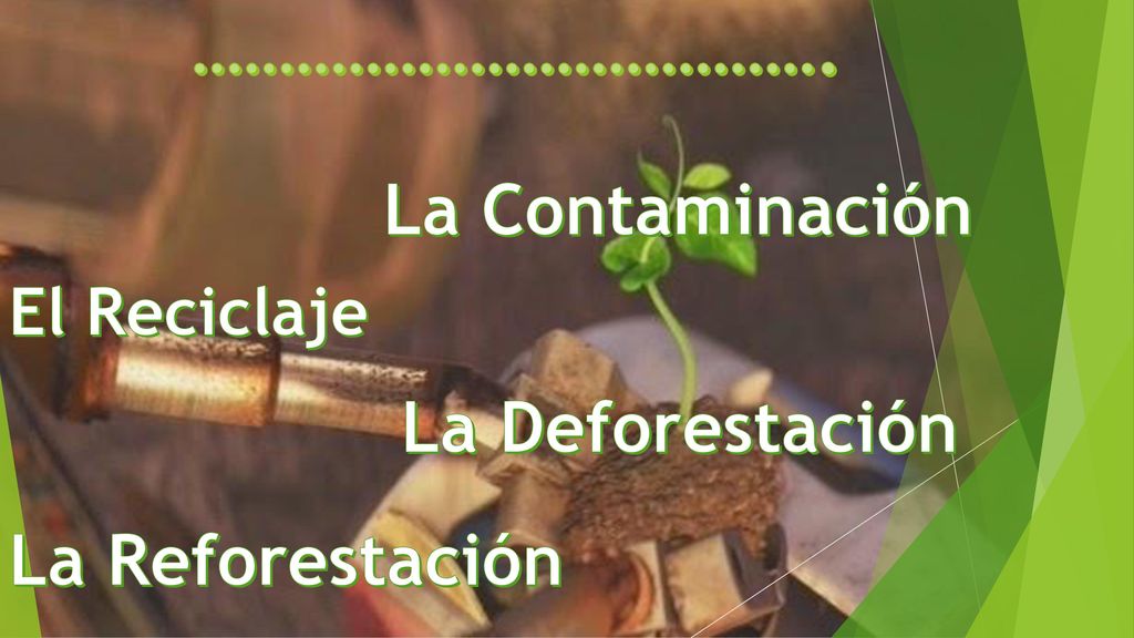 La Contaminación La Deforestación La Reforestación El Reciclaje