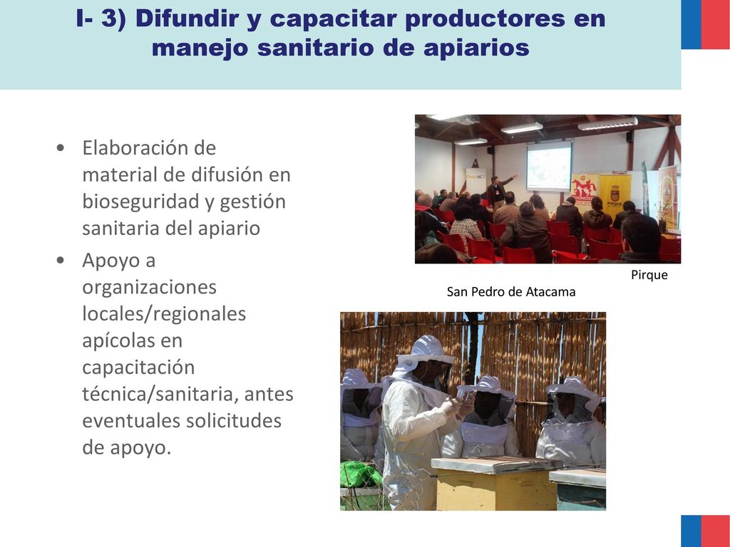 I- 3) Difundir y capacitar productores en manejo sanitario de apiarios