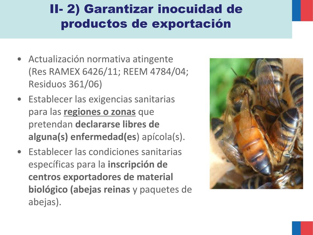 II- 2) Garantizar inocuidad de productos de exportación