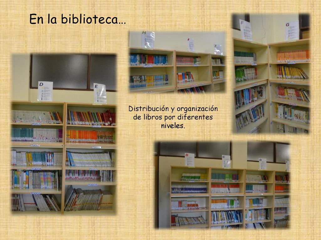 Distribución y organización de libros por diferentes niveles.