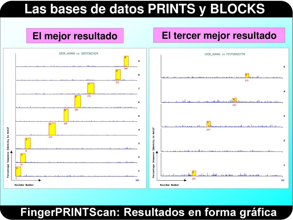 El tercer mejor resultado FingerPRINTScan: Resultados en forma gráfica