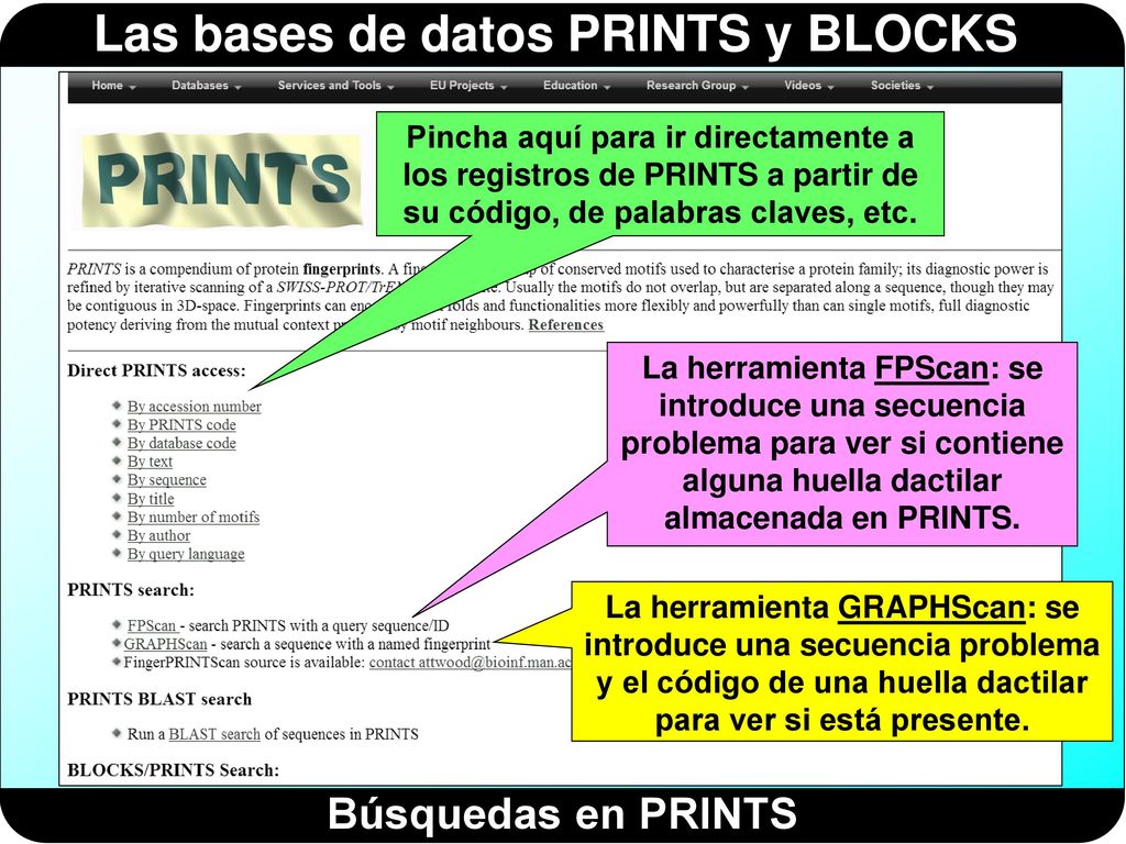Pincha aquí para ir directamente a los registros de PRINTS a partir de su código, de palabras claves, etc.