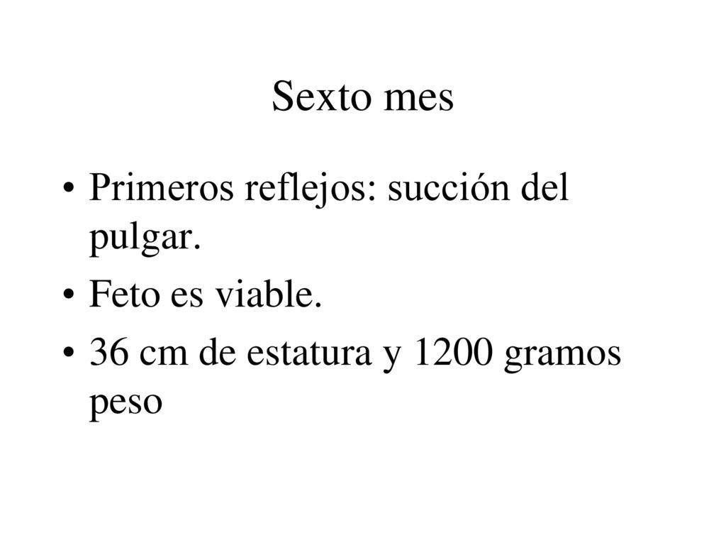Sexto mes Primeros reflejos: succión del pulgar. Feto es viable.