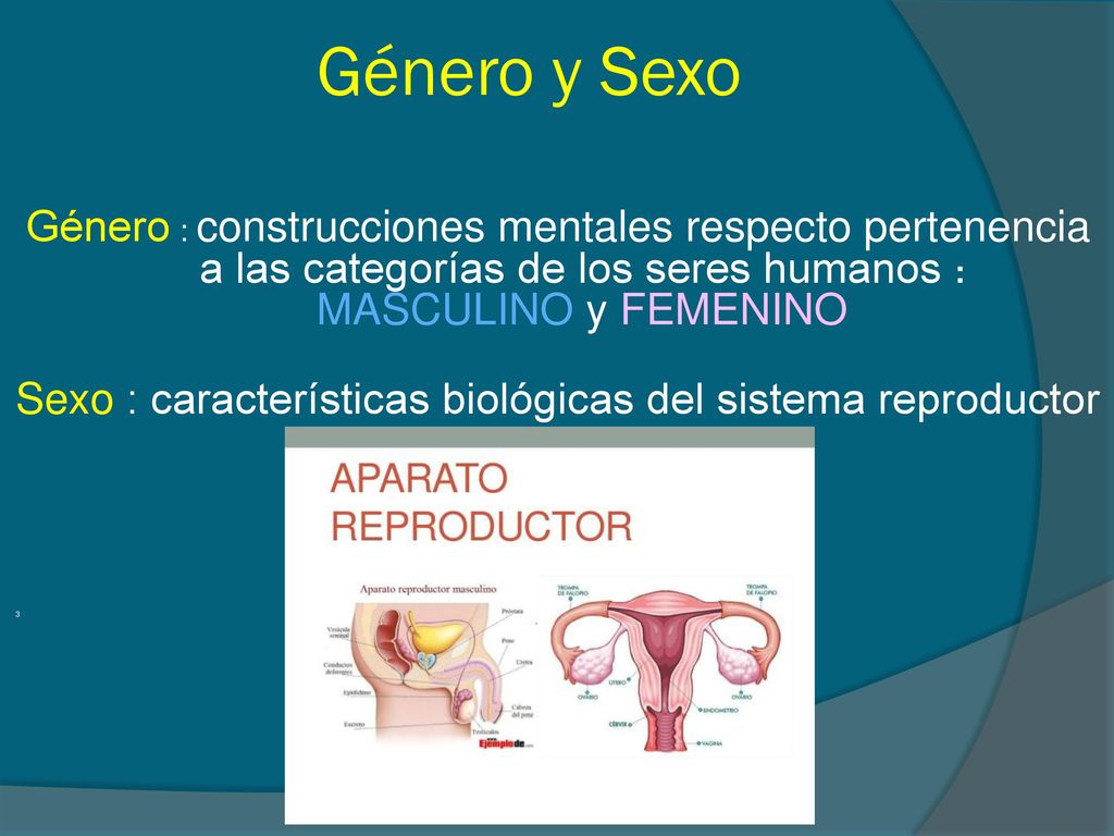 Género y Sexo Género : construcciones mentales respecto pertenencia a las categorías de los seres humanos : MASCULINO y FEMENINO.