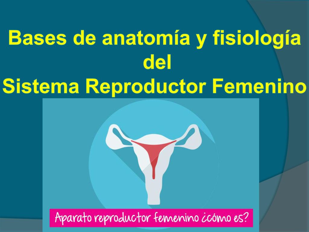 Bases de anatomía y fisiología Sistema Reproductor Femenino