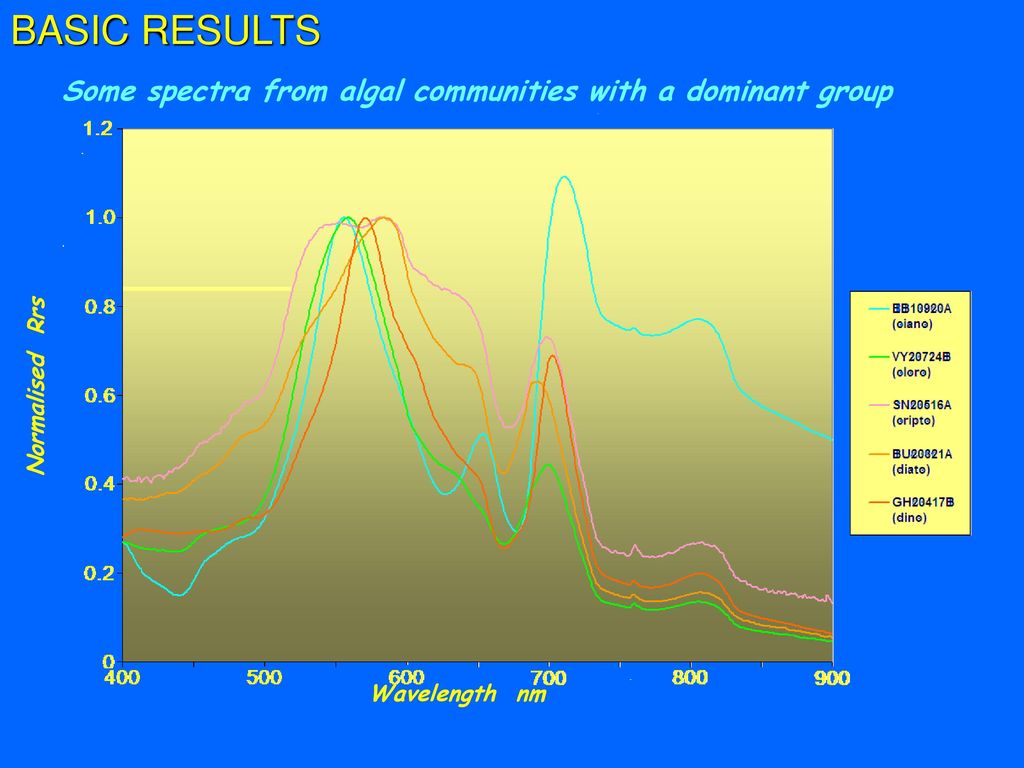 BASIC RESULTS Some spectra from algal communities with a dominant group.