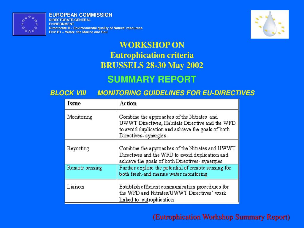 EUROPEAN COMMISSION DIRECTORATE-GENERAL. ENVIRONMENT. Directorate B - Environmental quality of Natural resources.