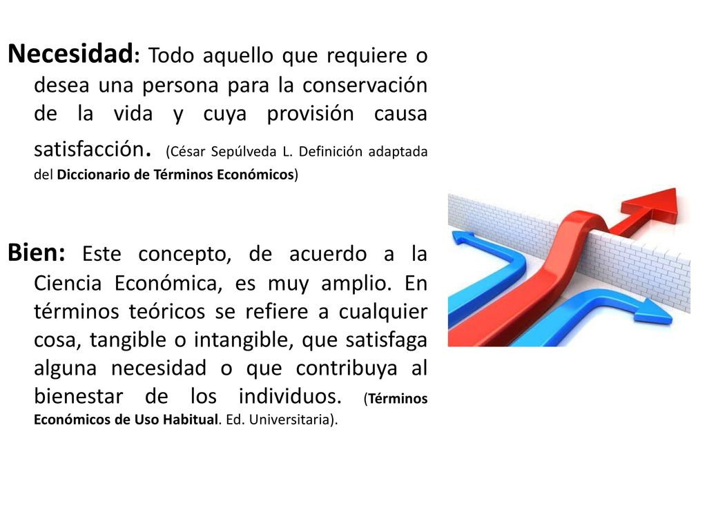 Necesidad: Todo aquello que requiere o desea una persona para la conservación de la vida y cuya provisión causa satisfacción. (César Sepúlveda L. Definición adaptada del Diccionario de Términos Económicos)