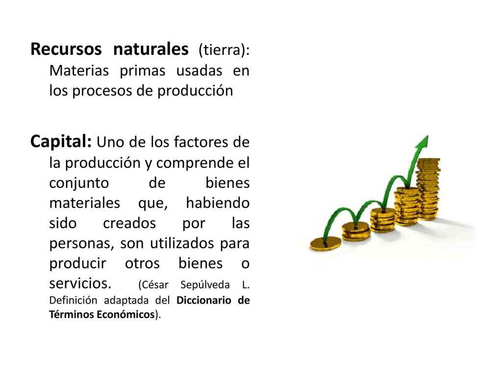 Recursos naturales (tierra): Materias primas usadas en los procesos de producción Capital: Uno de los factores de la producción y comprende el conjunto de bienes materiales que, habiendo sido creados por las personas, son utilizados para producir otros bienes o servicios.