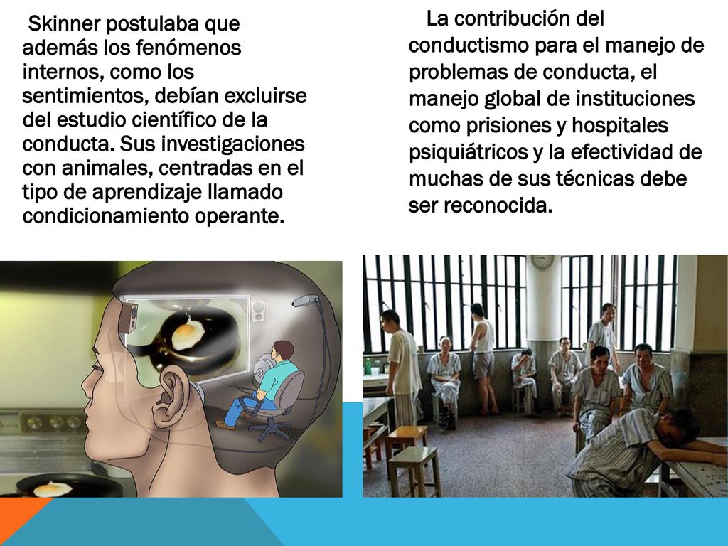 Skinner postulaba que además los fenómenos internos, como los sentimientos, debían excluirse del estudio científico de la conducta. Sus investigaciones con animales, centradas en el tipo de aprendizaje llamado condicionamiento operante.