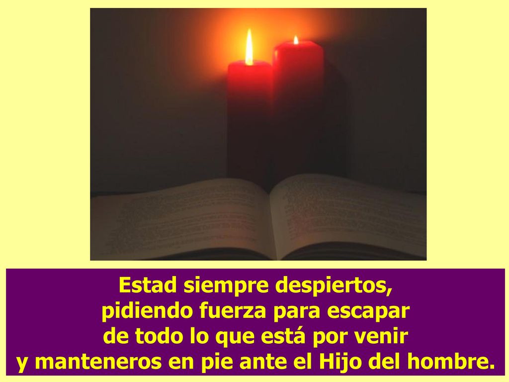 Estad siempre despiertos, pidiendo fuerza para escapar de todo lo que está por venir y manteneros en pie ante el Hijo del hombre.