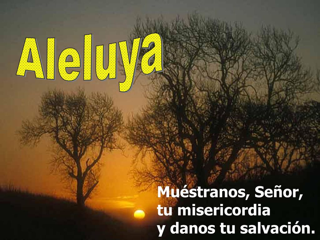 Aleluya Muéstranos, Señor, tu misericordia y danos tu salvación.