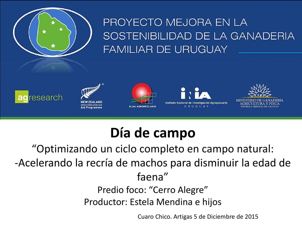 Día de campo Optimizando un ciclo completo en campo natural: -Acelerando la recría de machos para disminuir la edad de faena Predio foco: Cerro Alegre Productor: Estela Mendina e hijos Cuaro Chico.