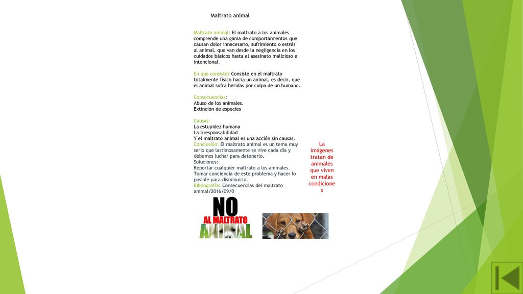 La imágenes tratan de animales que viven en malas condiciones