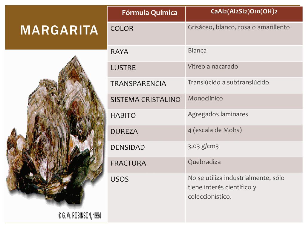 margarita Fórmula Química COLOR RAYA LUSTRE TRANSPARENCIA