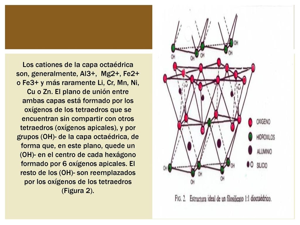 Los cationes de la capa octaédrica son, generalmente, Al3+, Mg2+, Fe2+ o Fe3+ y más raramen­te Li, Cr, Mn, Ni, Cu o Zn.