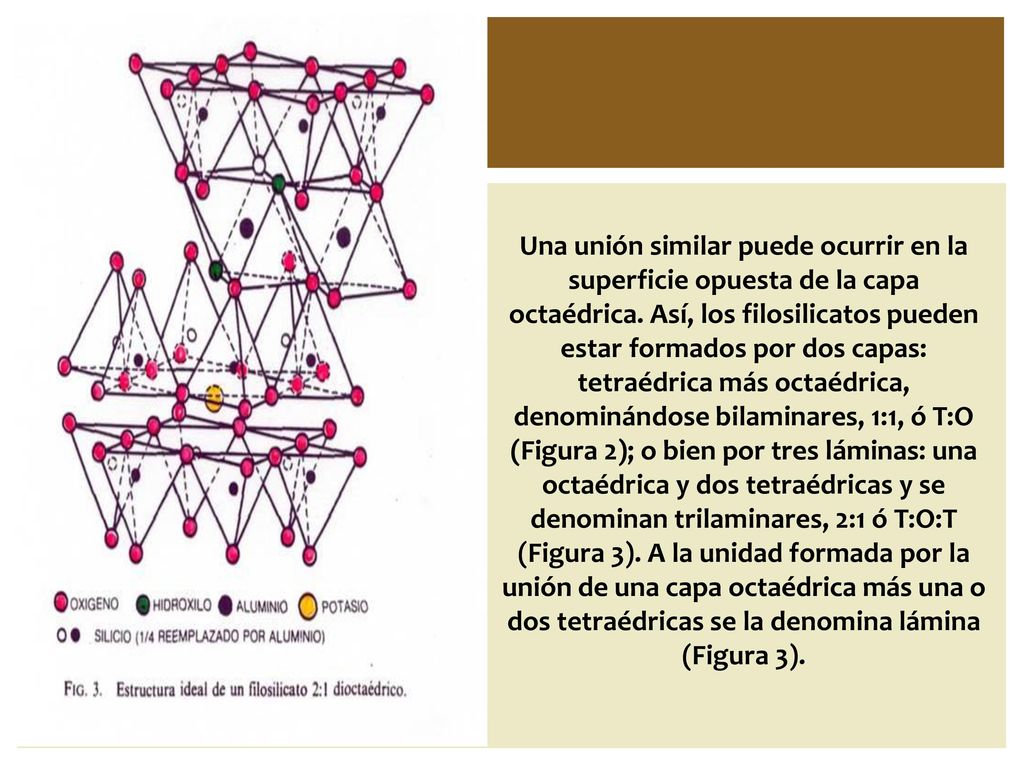 Una unión similar puede ocurrir en la superficie opuesta de la capa octaédrica.