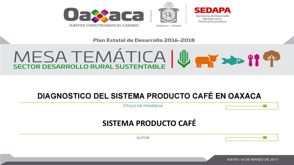 DIAGNOSTICO DEL SISTEMA PRODUCTO CAFÉ EN OAXACA
