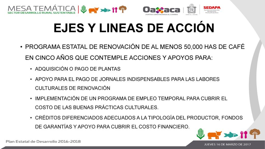 EJES Y LINEAS DE ACCIÓN PROGRAMA ESTATAL DE RENOVACIÓN DE AL MENOS 50,000 HAS DE CAFÉ EN CINCO AÑOS QUE CONTEMPLE ACCIONES Y APOYOS PARA: