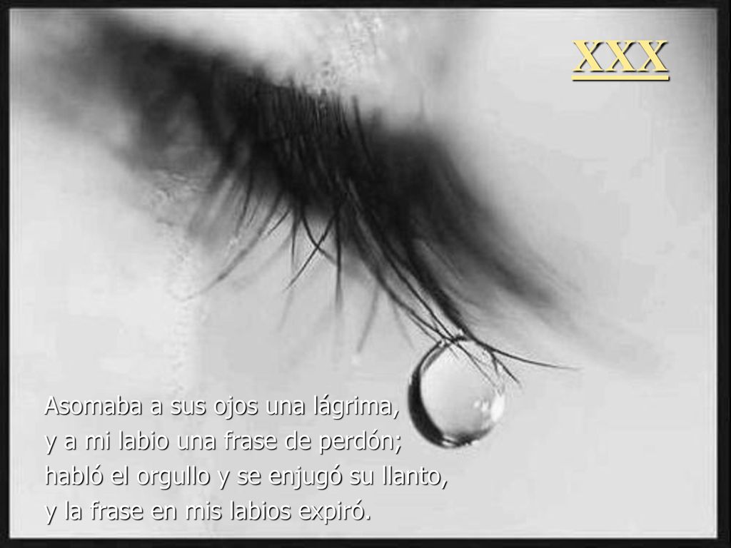XXX Asomaba a sus ojos una lágrima, y a mi labio una frase de perdón;