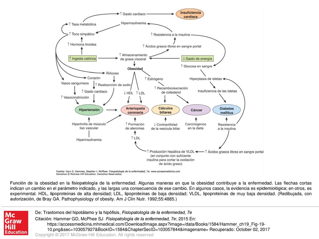 Descargar Gratis Fisiopatologia Mcphee Descargar Gratis Fisiopatologia Mcphee