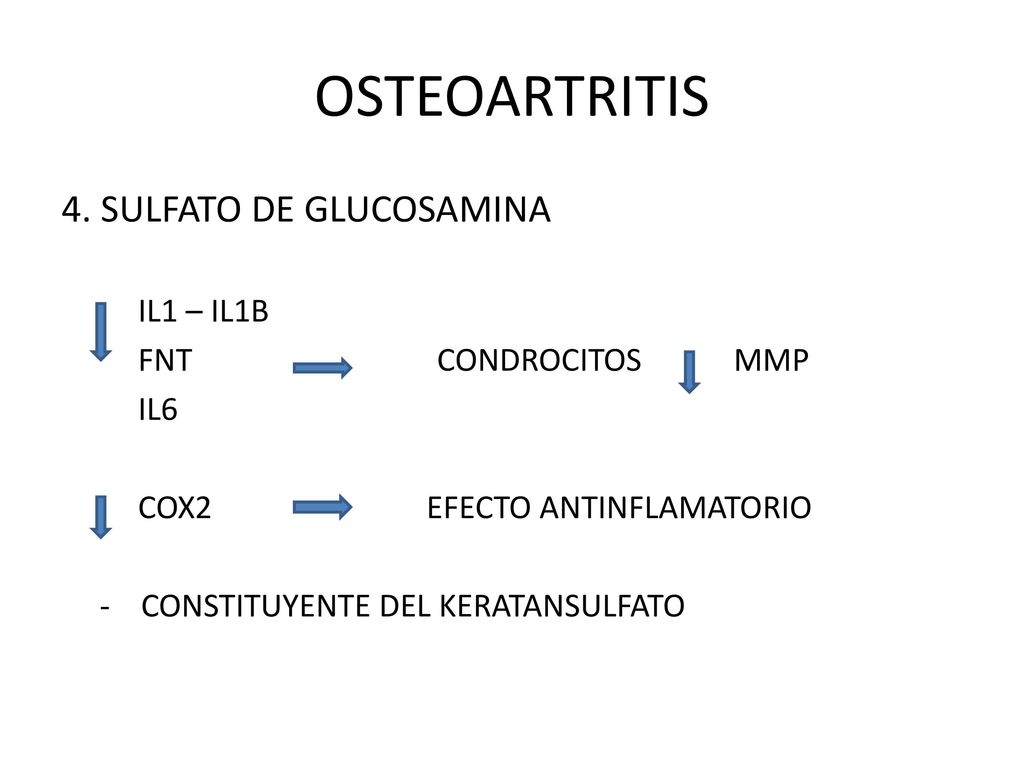 OSTEOARTRITIS 4. SULFATO DE GLUCOSAMINA IL1 – IL1B FNT CONDROCITOS MMP