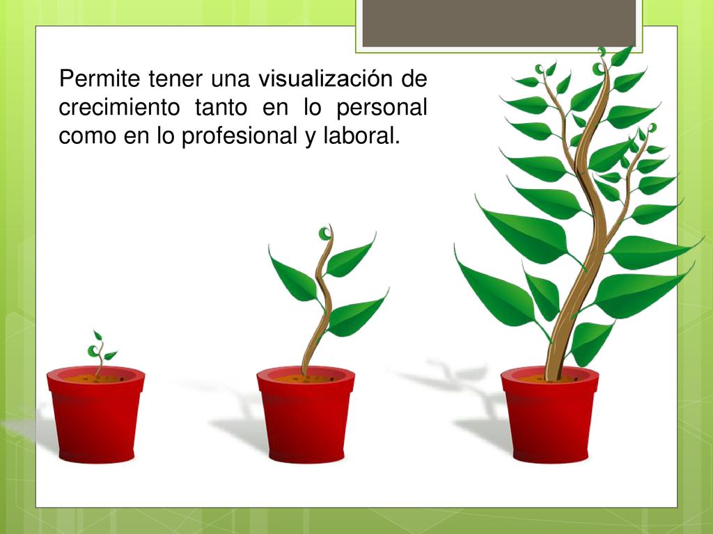 Permite tener una visualización de crecimiento tanto en lo personal como en lo profesional y laboral.