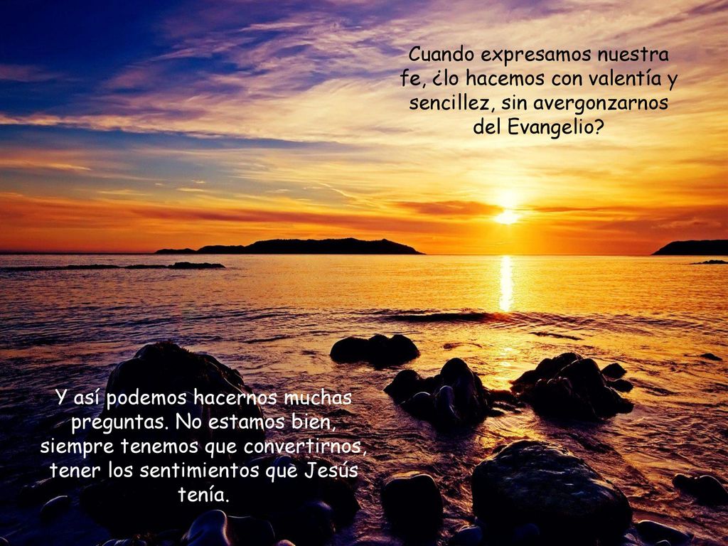Cuando expresamos nuestra fe, ¿lo hacemos con valentía y sencillez, sin avergonzarnos del Evangelio