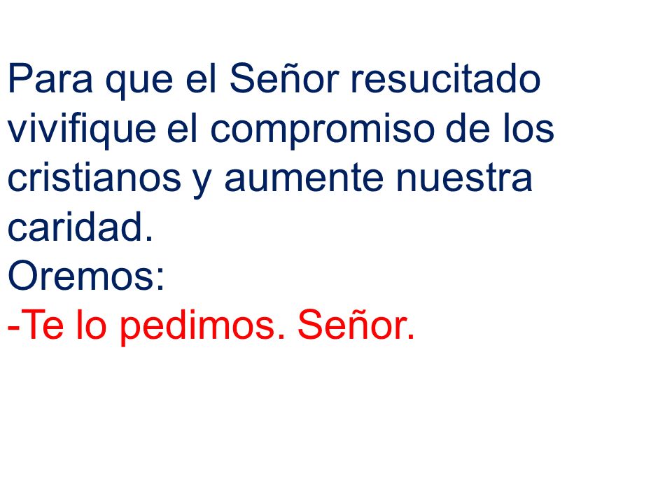 Para que el Señor resucitado vivifique el compromiso de los cristianos y aumente nuestra caridad.