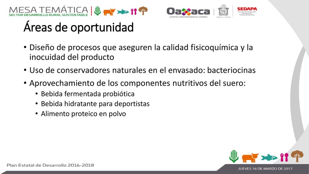 Áreas de oportunidad Diseño de procesos que aseguren la calidad fisicoquímica y la inocuidad del producto.